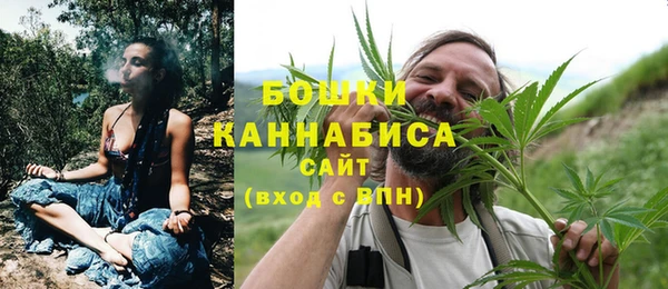 дживик Нея
