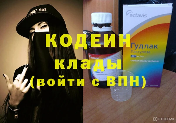 дживик Нея