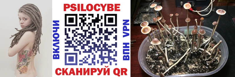 блэк спрут рабочий сайт  Сорск  Псилоцибиновые грибы Psilocybine cubensis 